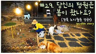 [정원 이야기 29편 4k] Korean garden 올해 노지월동 점수는?/히야신스개화/네모필라,물망초 파종과 새싹가식
