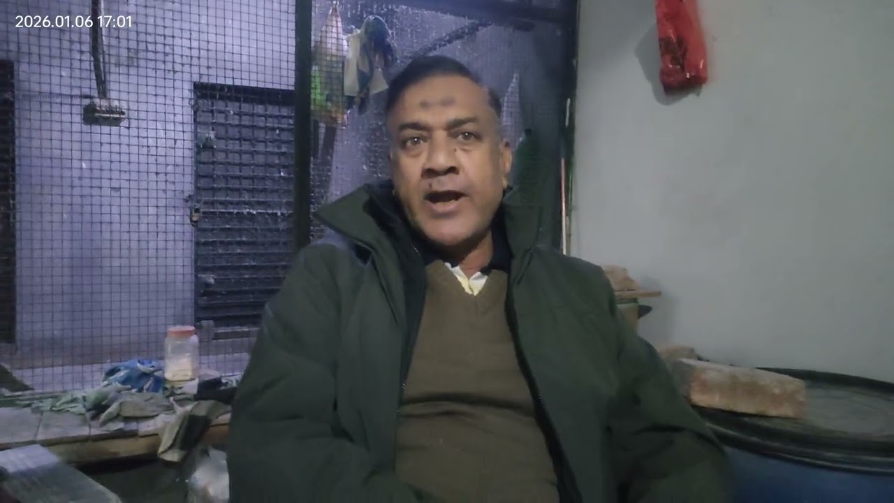 کبوتروں کو کیلشیم پروٹین اور وٹامنز کیسے دینی چاہئیے استاد ذوالنور اختر ٹیپو نے سب بتا دیا 