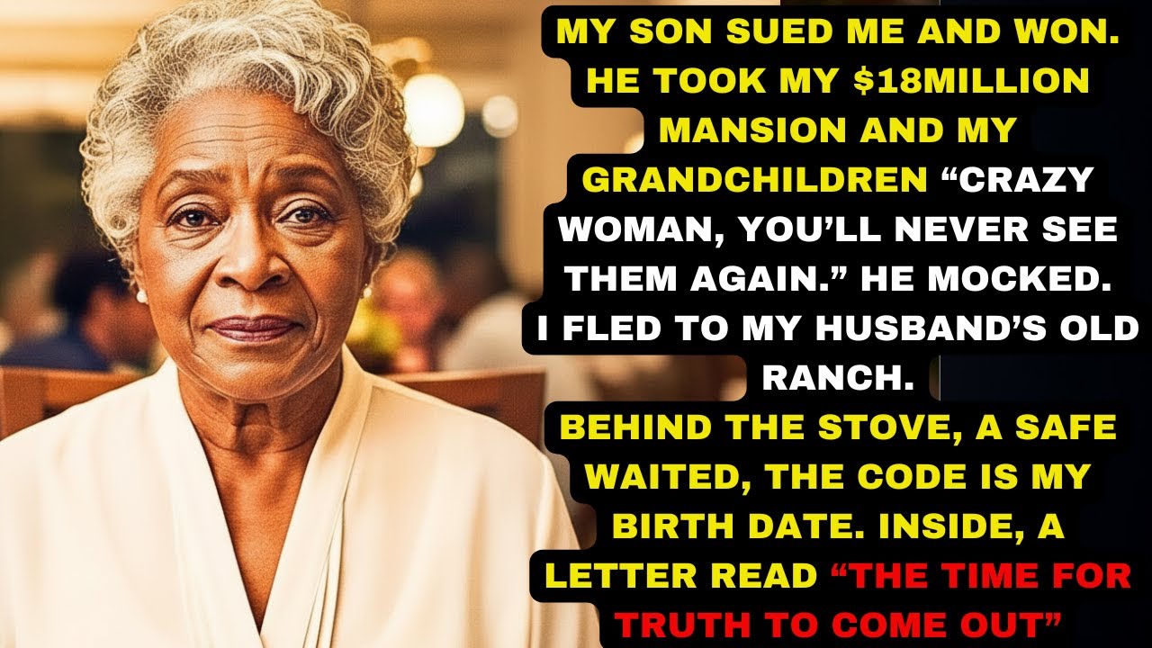 I Lost 18 Million Dollars and My Grandkids in Court — Then I Found Something in My Husband’s Safe…