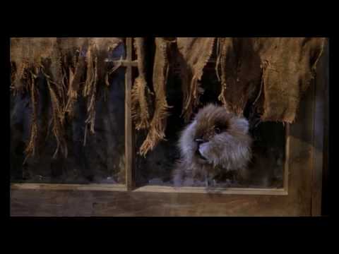 Bill Murray as Carl in Caddyshack think like a animal
