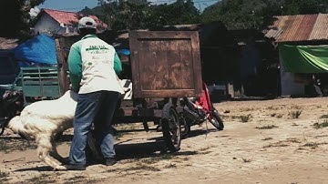 Smooth Zooming like sam kolder with Filmora Android by beginners