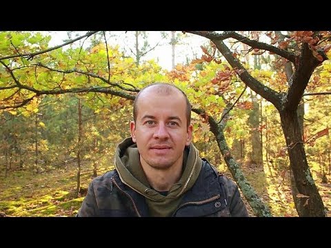 Zobacz wątek Grzyby (wartości odżywcze, właściwości lecznicze, gdzie i jak zbierać