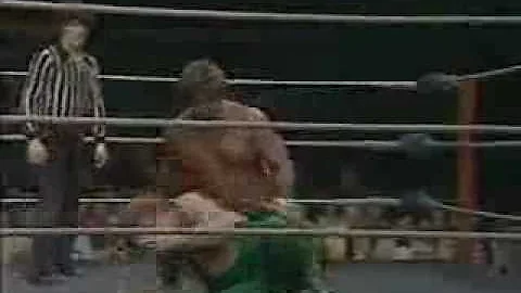 Magnificent Don Muraco vs Terry Gunn