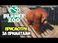 Planet Zoo | Сбережем Мадагаскарских обезьян. Кампания