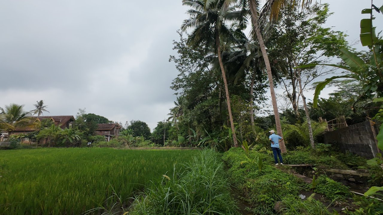 Tanah Murah di Pakem Sleman Bonus Sungai & Air Terjun, Cocok untuk Villa atau Hunian! | SB EPS446