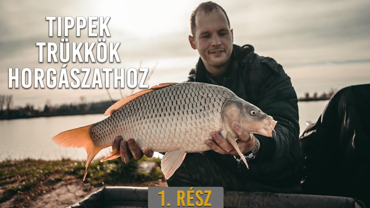 milyen típusú férgekből készül ponty