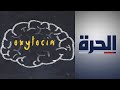 بين شبكات التواصل الاجتماعي والحب هرمون مشترك