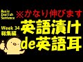 [英語耳養成講座] 毎日の基礎英語リスニング BES- Basic English Sentence- 週末No.34 [TOEIC・英検対策]