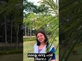Melle Onnu Paadi Ninne | Manassinakkare | മെല്ലെ ഒന്നു പാടി നിന്നെ | മനസ്സിനക്കരെ