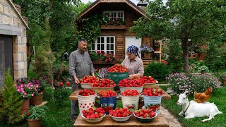 Сбор Клубники И Приготовление Натуральных Сладостей