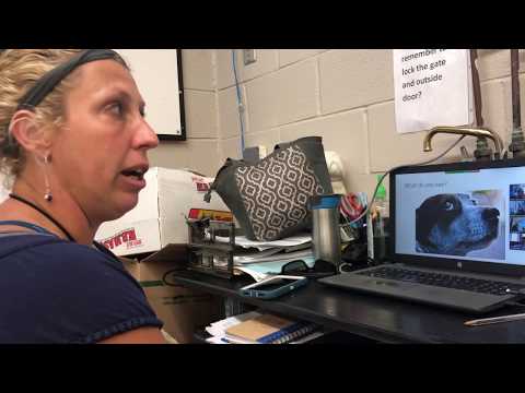 ZOOM With Liz-