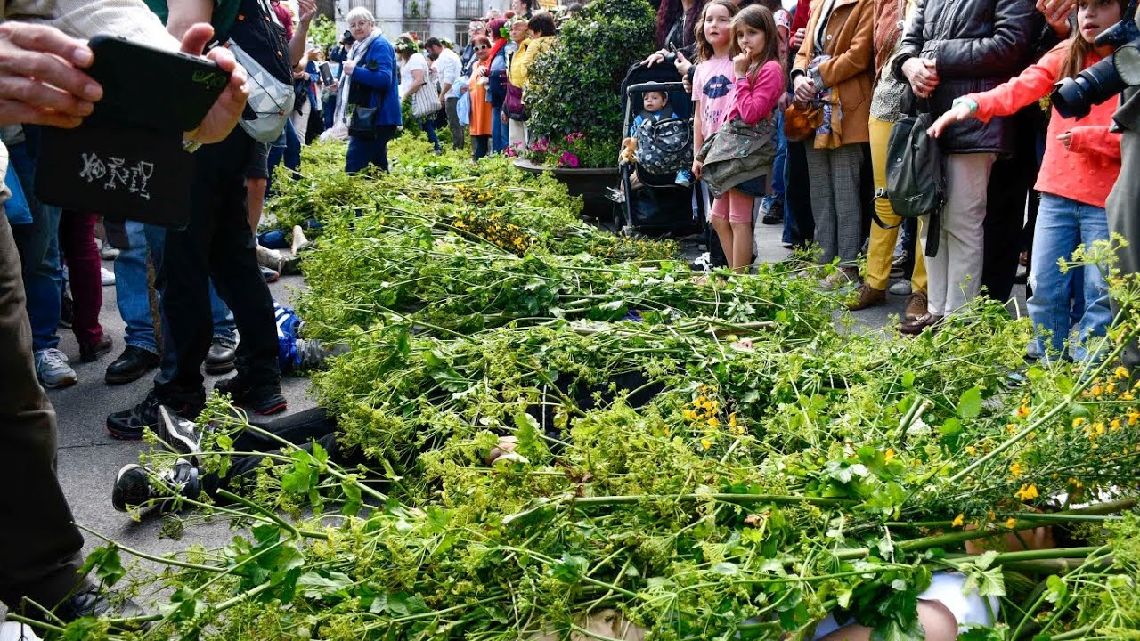 Maios de Villafranca del Bierzo 2025