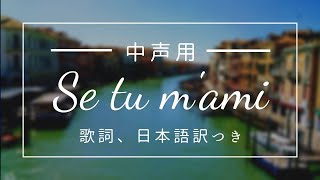 Se tu m'ami (with lyrics) - 歌詞、対訳つき