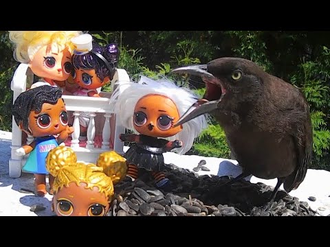 dog tv é bom LOL Surprise Dolls - Bird Video For Cats and Dogs