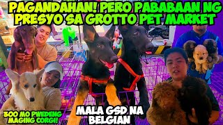 GRABEHAN ANG MGA ASO AT PUSA NGAYON SA GROTTO PET MARKET! PHP 2,500 MAY BELGIAN KA NA! by Tita A's Vlog 9,305 views 3 weeks ago 34 minutes