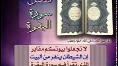 القارئ سعيد دباح الجزائرى ماتيسر من سورة الرحمان