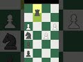 2 ROOKY | Chess Memes #shorts #chess #chessmemes
