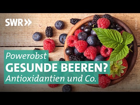 Video: Moltebeere - eine Beere von vielen Krankheiten