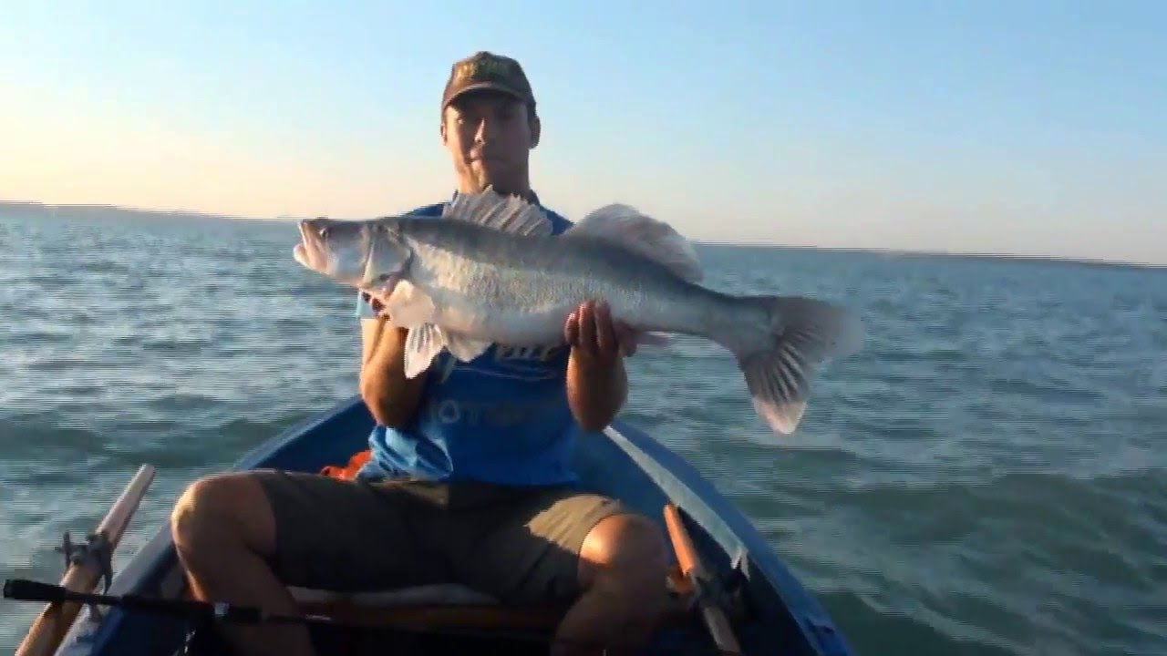 Nagy Gábor: Balatoni fogas fárasztás - damil.hu horgász video