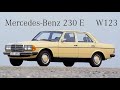 Class & Dignity - 1983 Mercedes-Benz 230 E (W123)