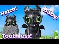 HATCHING TOOTHLESS How to Train Your Dragon The Hidden World Hatching Dragon