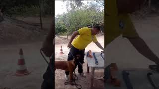 Apresentação de Materiais p/ Base de Adestramento Profissional. Serra Negra/ PE by Adestramento Fiel Soluções Caninas 1 view 1 month ago 1 minute, 47 seconds