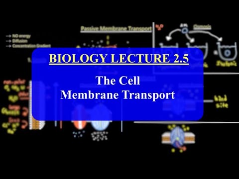 IMAT Biology Lesson 2.5 | The Cell | Membrane Transport