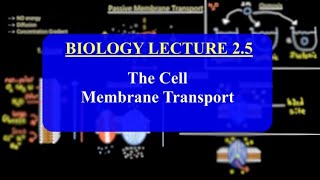 IMAT Biology Lesson 2.5 | The Cell | Membrane Transport