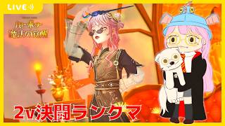 【ハリポタ魔法の覚醒】デッキ考えながらマスター帯2v決闘ランクマ(´・ω・｀)【視聴者参加OK】【ハリー・ポッター：魔法の覚醒】