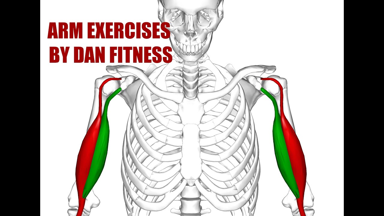 Incline dumbbell curl