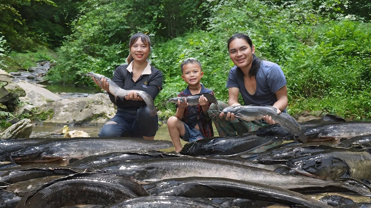 Catching giant catfish, making colored sticky rice with natural ingredients, daily life on the farm