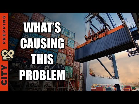 Port System Collapse: What to Expect Next