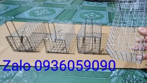 Bán bẫy chuột đồng, bán bẫy chuột đường mòn, bán bẫy chuột không dùng mồi. zalo 0936059090.