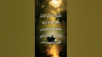حتى إذا استيأس الرسل وظنوا أنهم قد كذبوا / الشيخ أحمد النفيس / سورة يوسف