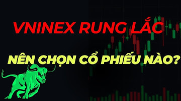 BẤT ĐỘNG SẢN VƯỢT TRỘI, VNINDEX RUNG LẮC – NÊN CHỌN CỔ PHIẾU NÀO? 🚀