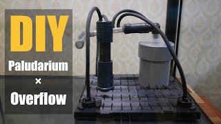 DIY:Concealable Overflow Aquarium Drain Cover: Easy Bottom Cleaning!