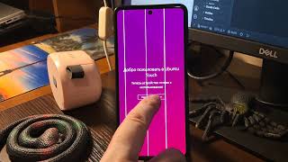 Ubuntu Touch 20.04 (Halium 13) Samsung Galaxy M52 World First! TWRP Install Guide
