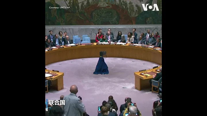 安理会表决巴勒斯坦加入联合国 美国投下反对票 - 天天要闻