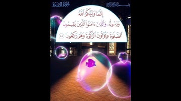 سورة المائدة الآية ( 55 )