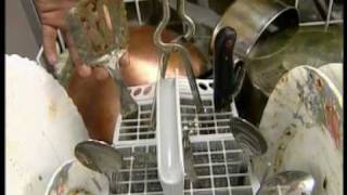 IFB Dishwasher