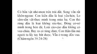 0997. TLCVN - Cầu nguyện Đặc nhiệm ngày cuối. Thứ sáu. Nam. THIÊN CHÚA dùng ai - 21.10.2022