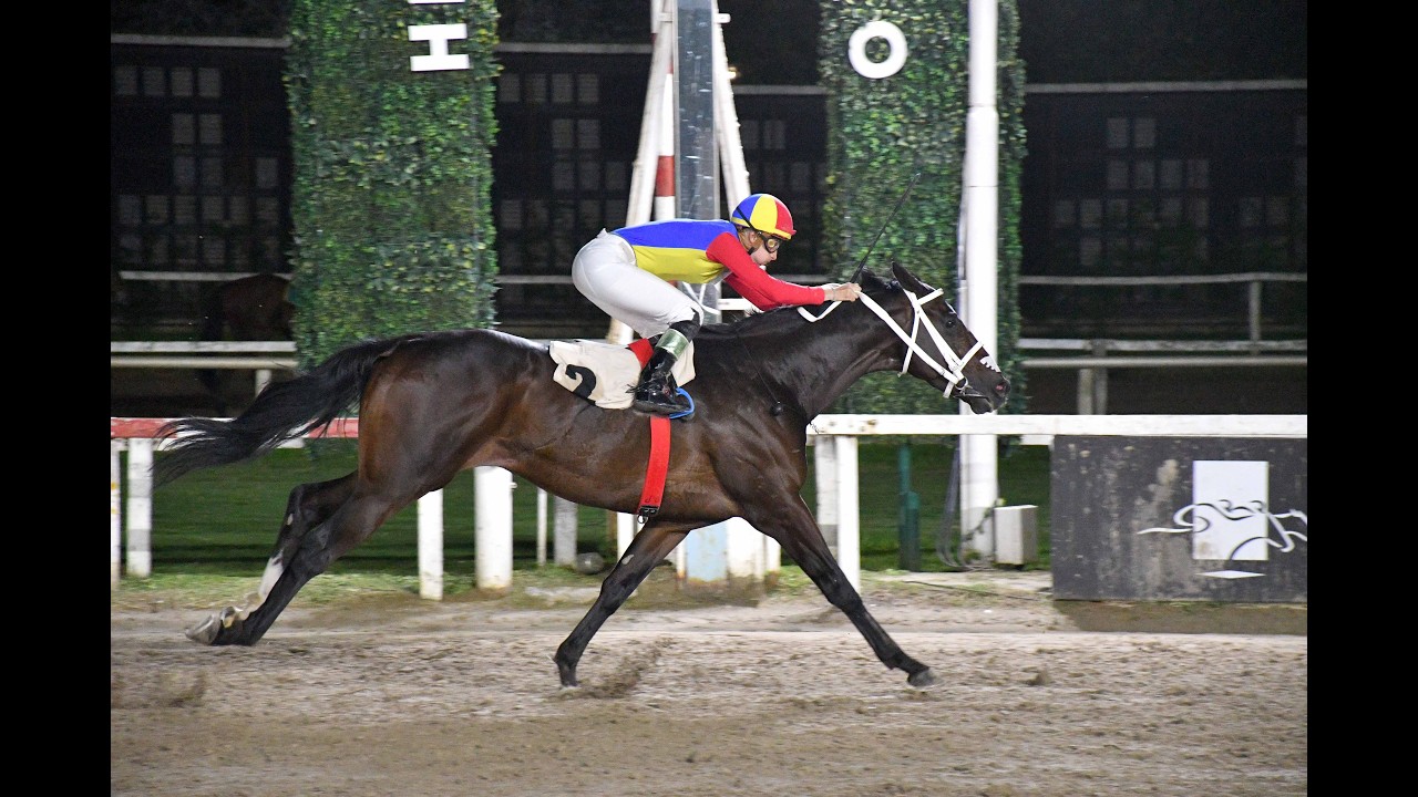 Handicap Arturo A. 2026 - Holy Holy Rim (Remote)