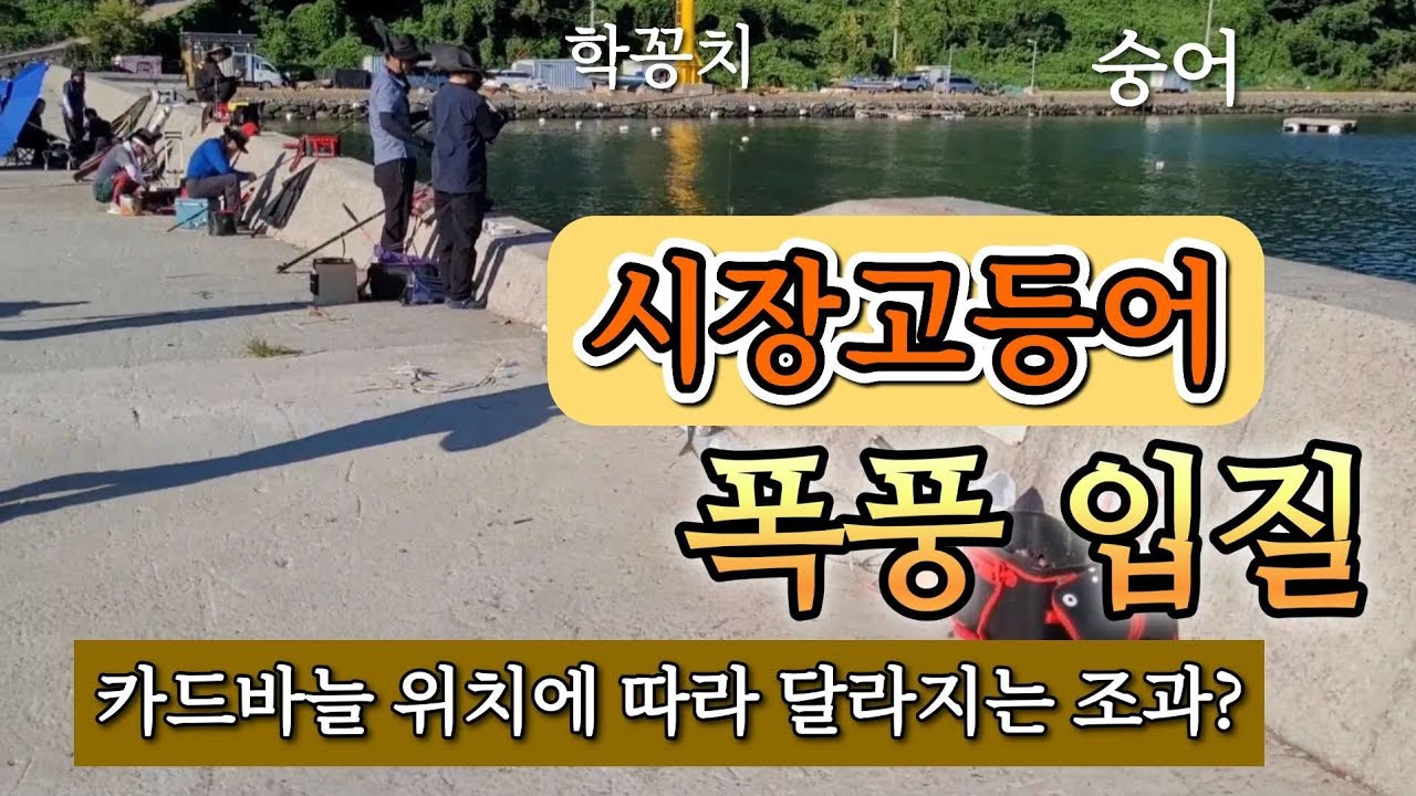 던지면 나오는 폭풍 입질!  이유를 알면 조과가 달라진다.