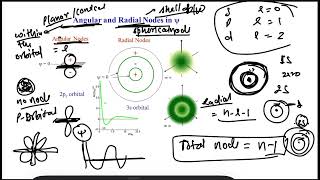 Celebrity Which of the following point in Fig 2 most accurately represents the nodal surface as shown in Fig 1 Profile