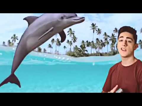 Dolphin Man by Danny Gonzales