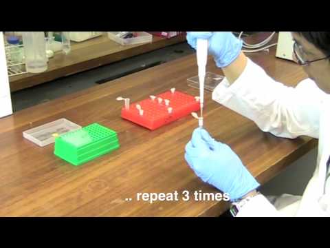 Desalting a peptide mixture after digestion