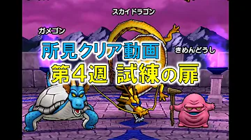 ハイランドスカイドラゴン ハイランドスカイドラゴン