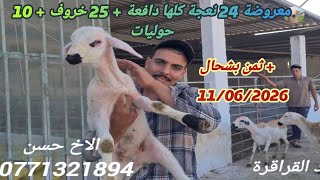 اليوم عند الاخ حسن قرب برشيد 25 نعجة كلها دافعة + 25 خروف + 10 حوليات مع دكر ثمن 11/6/26