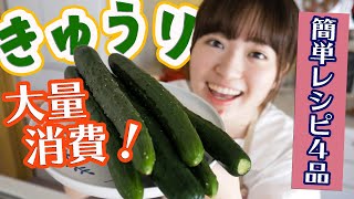 【きゅうりを大量消費】超簡単おいしいレシピで品たくさん作る【料理音フェチASMR】