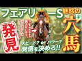 フェアリーＳ 2025【穴馬/予想】単勝でも買いたい！条件最高の「魅惑の一頭」とは？